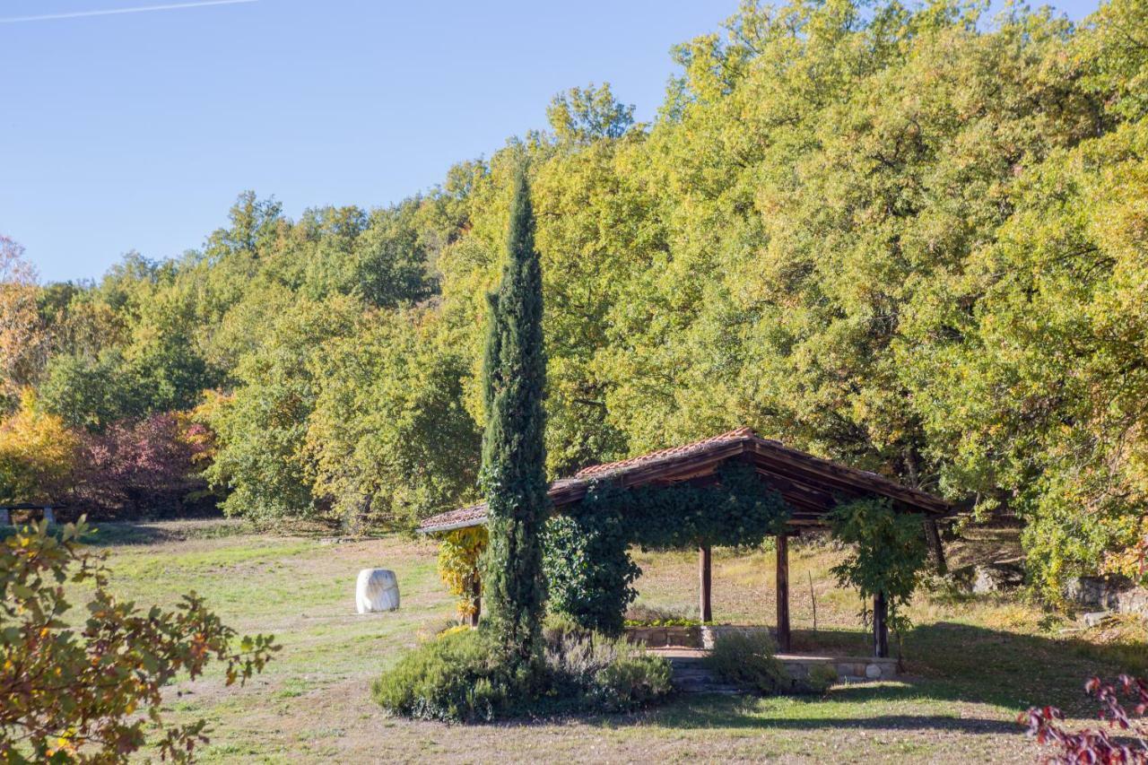 Apartamento Fattorie Di Celli Poppi Exterior foto